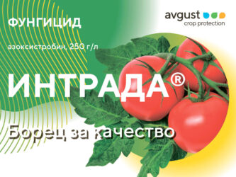 Интрада® - Важный элемент в защите овощных культур