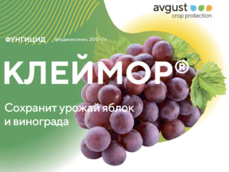 Клеймор® - Сохранит урожай яблок и винограда