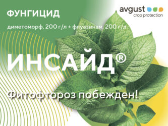 Инсайд® - Фитофтороз побежден!