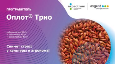 Оплот® Трио - Снимет стресс у культуры и агронома!
