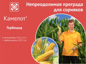 Камелот® - Непреодолимая преграда для сорняков