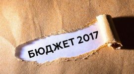 Бюджет-2017: нюансы господдержки аграриев