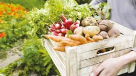 Хранение экологической продукции