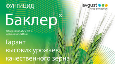 Баклер® - Гарант высоких урожаев качественного зерна