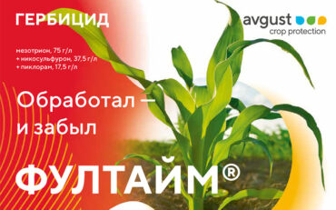 Фултайм® – системный гербицид против максимального спектра сорняков на кукурузе