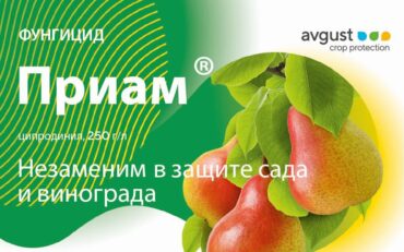 Приам® – системный фунгицид для защиты плодовых семечковых и косточковых культур, а также винограда от комплекса болезней